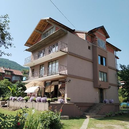 Guest House Dimitrije Niska Banja Exterior foto